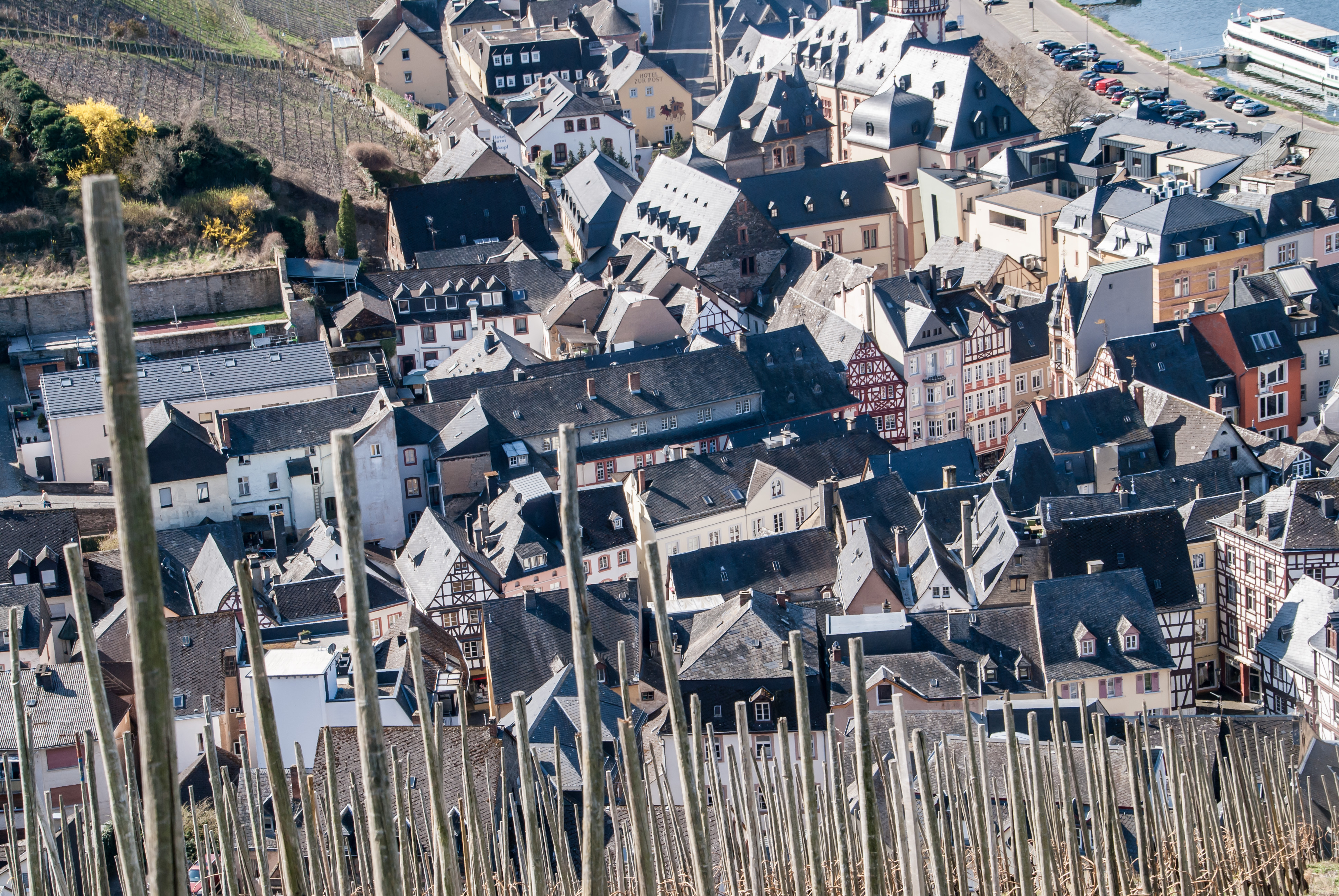 Zoom auf die Altstadt von Bernkastel-Kues mit Rebstöcken im Vordergrund