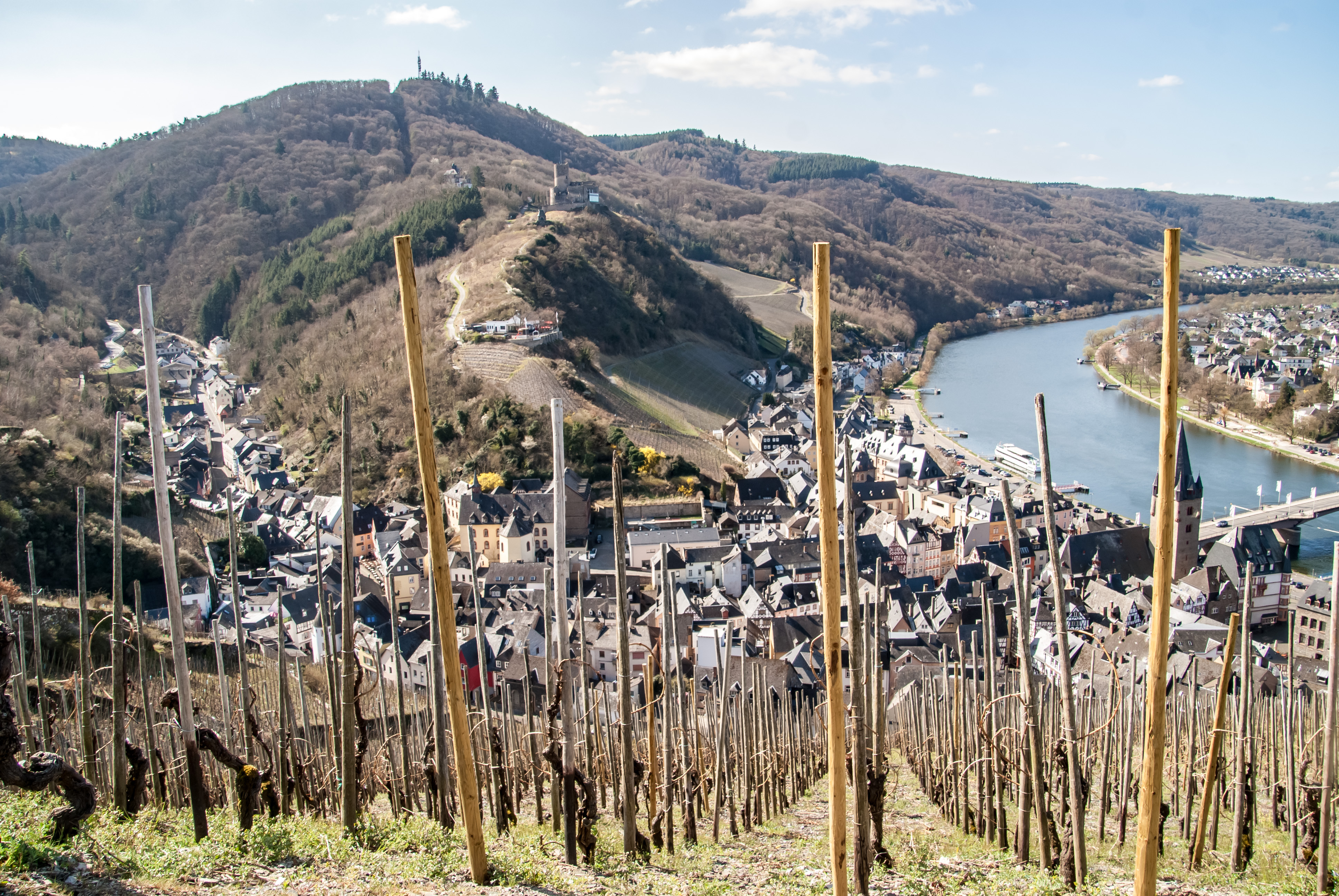 Postkartenidylle: Blick vom Doctor-Weinberg auf die Mosel und die Altstadt von Bernkastel-Kues.