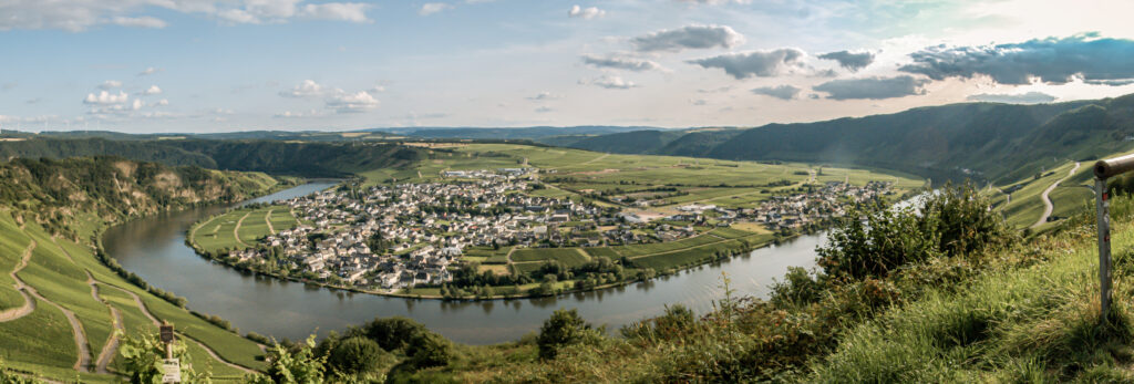 Moselbogen bei Piesport mit Blick auf Weinberge und den Ort Piesport
