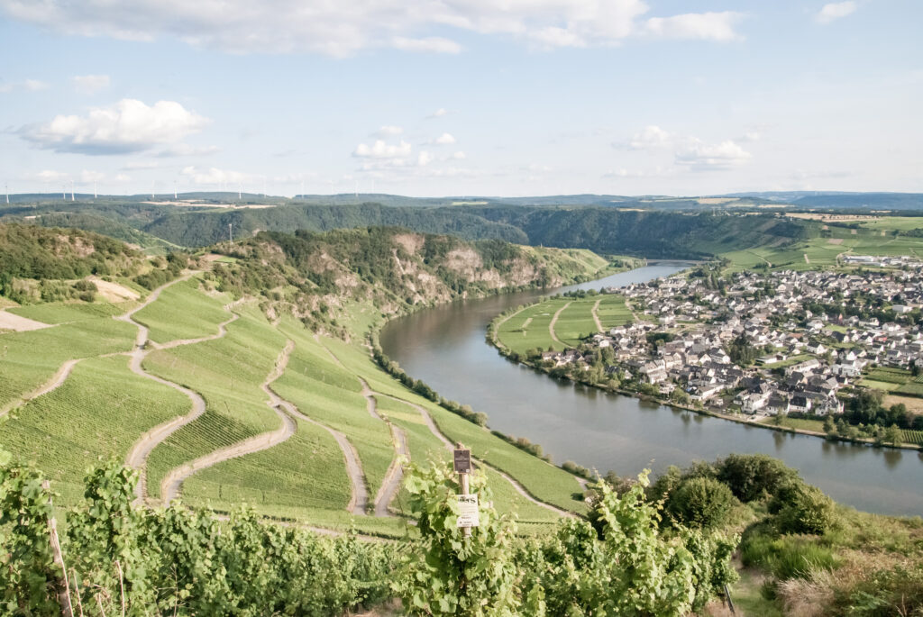 Weinberge der Moselloreley, Flussverlauf der Mosel und das Weindorf Piesport