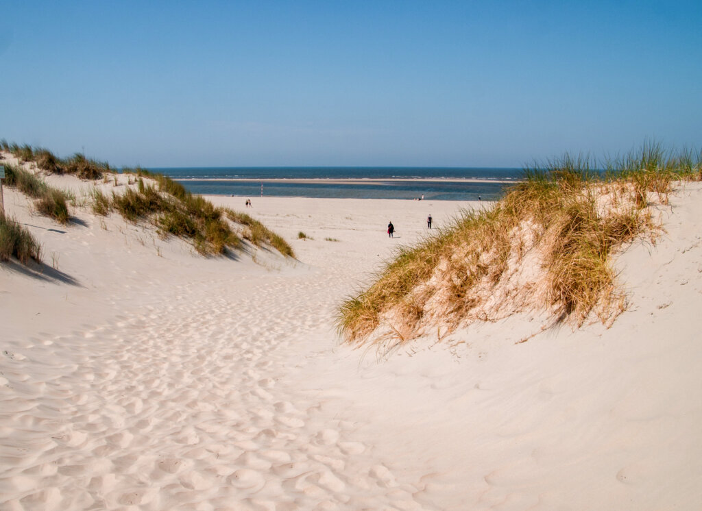 Strand und Dünen auf Baltrum
