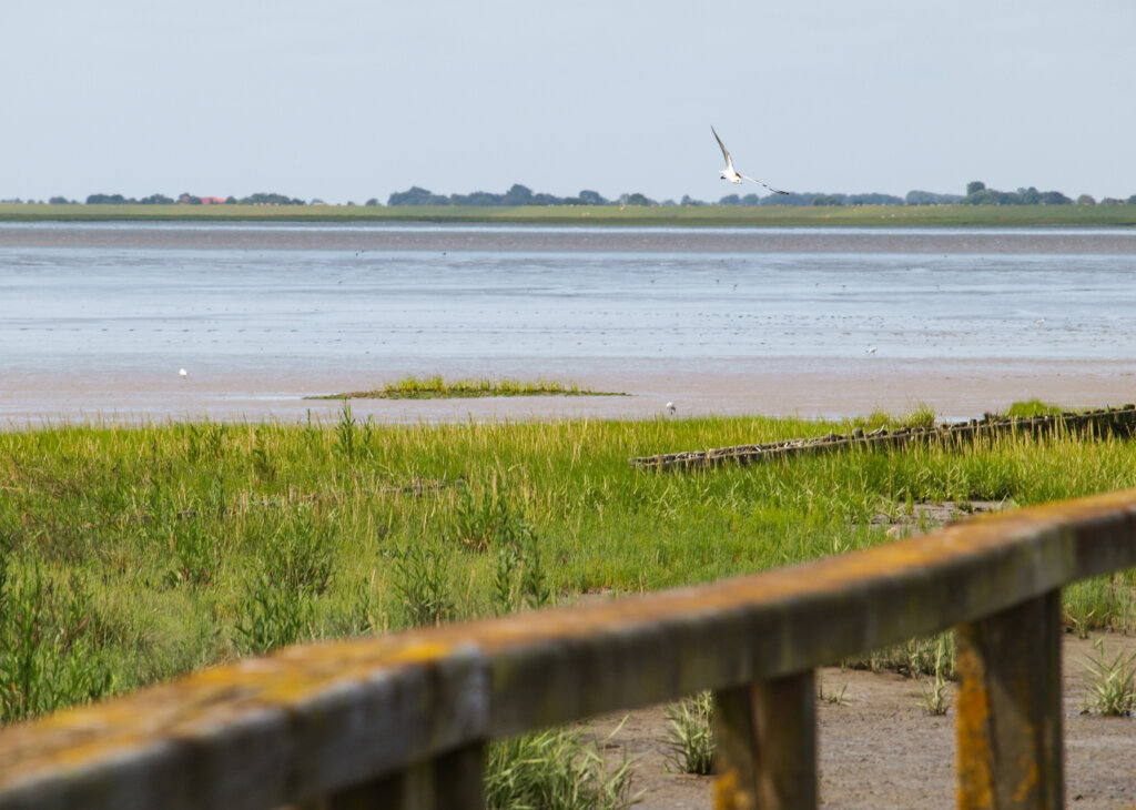 Blick auf die Husumer Bucht und Nordstrand